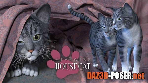 Dawnload HiveWire House Cat for free