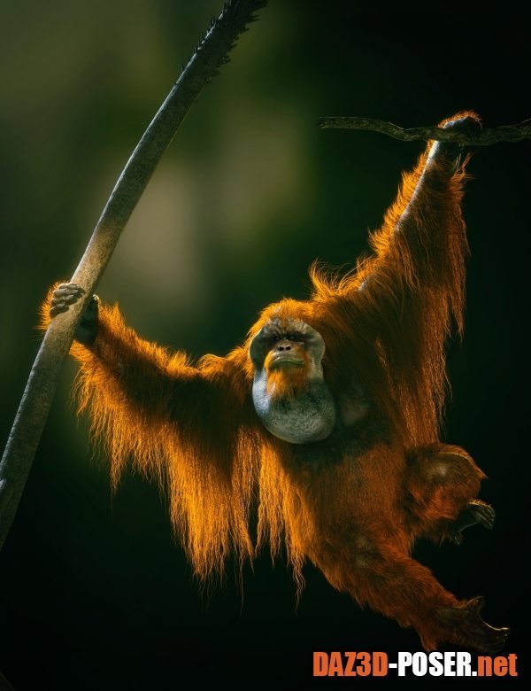 Dawnload Anthropomorphs - Orangutan for Genesis 8 Male for free