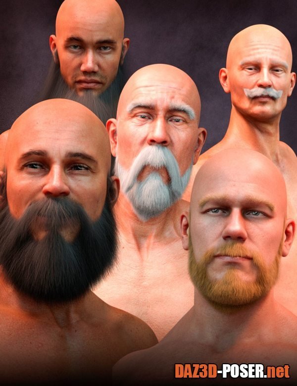 Dawnload Long and Full Beards Set Hair for Genesis 8 Male for free