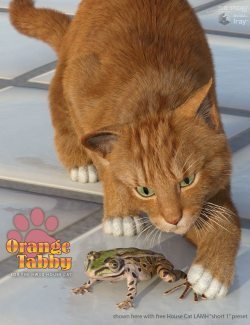CWRW Orange Tabby for the HW House Cat