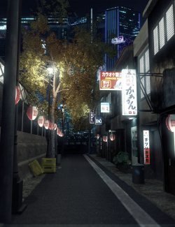 Night In Tokyo