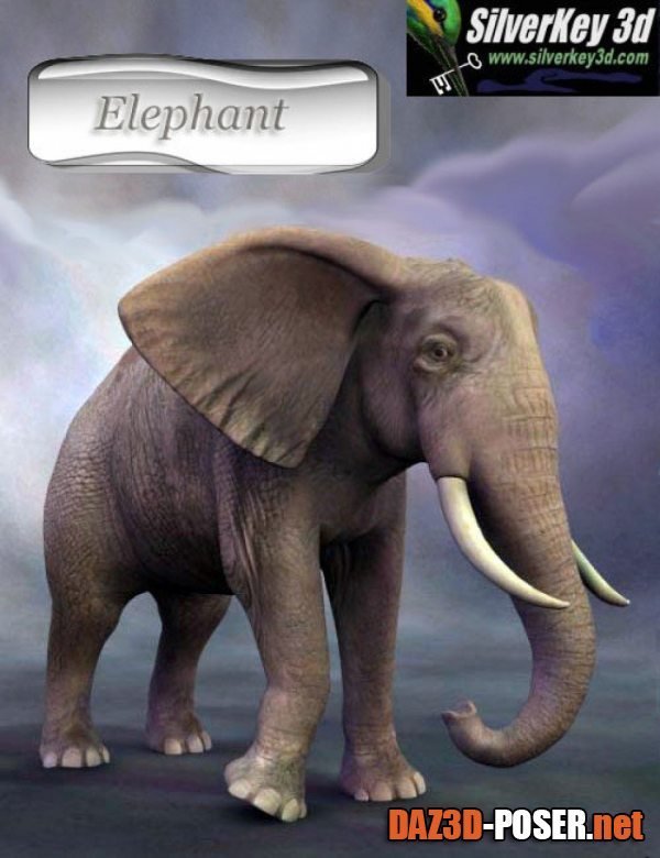 Dawnload African Elephant for free