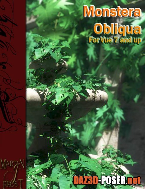 Dawnload Monstera Obliqua - Jungle Plants for Vue for free