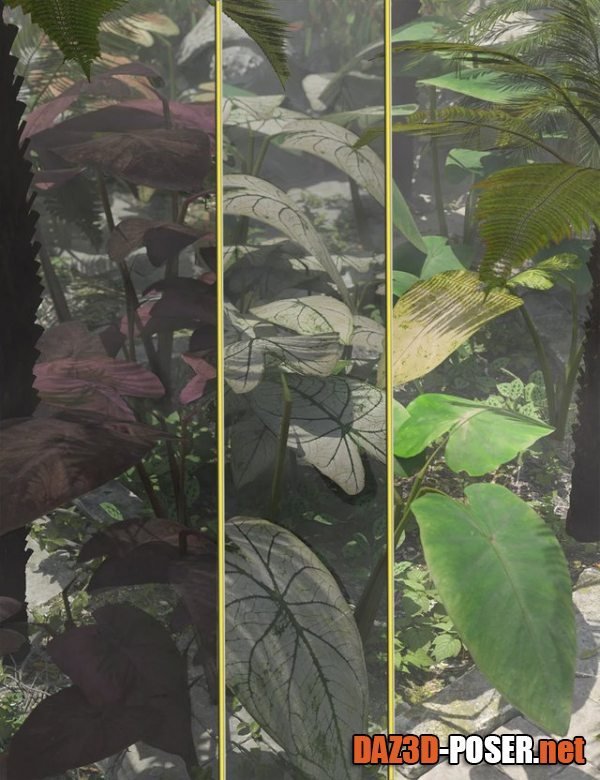 Dawnload Tropical Foliage Plants - Colcassia for free