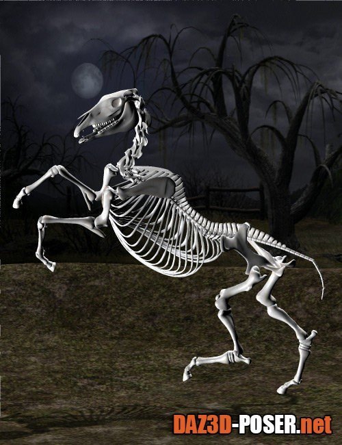 Dawnload Skeleton Horse Poses for free