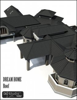 Dream Home Roof