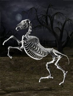 Skeleton Horse Poses