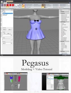 Pegasus Modeler 3.0 Upgrade