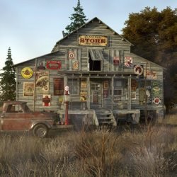 MS20 Country Store for DAZ