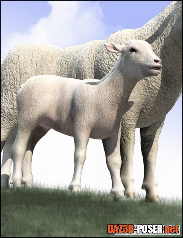 Dawnload DAZ Lamb for free