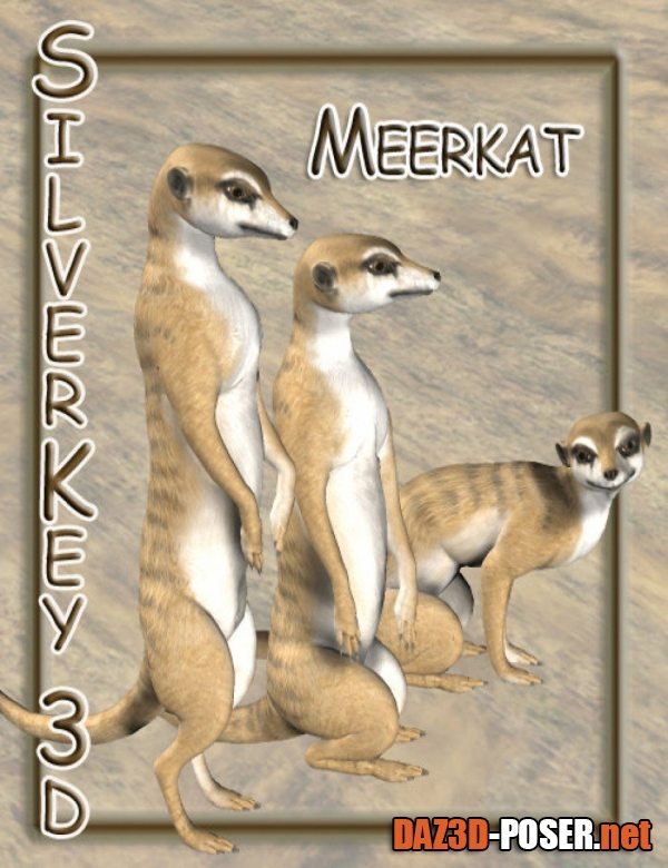 Dawnload Meerkat for free