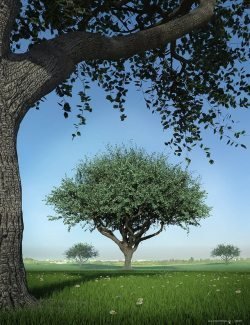 Hybrid Trees - Pruned