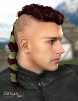 Colors for Viking Male Hair