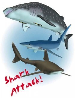 Shark Attack Pack 1