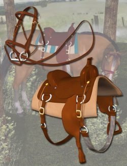Western Horse Tack for the Millennium Horse