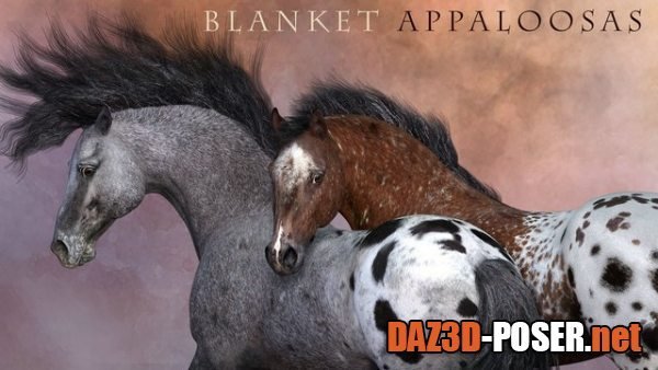Dawnload CWRW Blanket Appaloosas for the HiveWire Horse for free