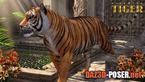 Dawnload HiveWire Tiger for free