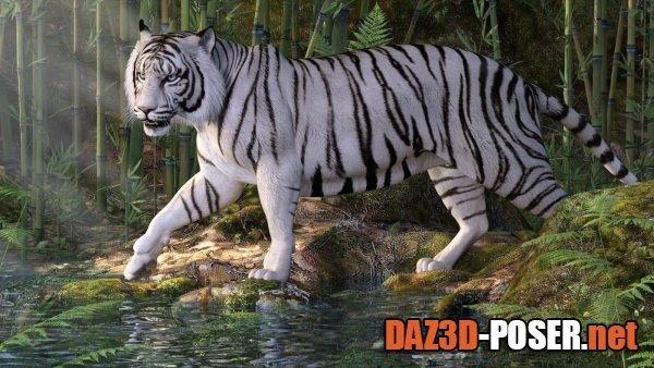 Dawnload CWRW White Tigers for the HiveWire Tiger for free