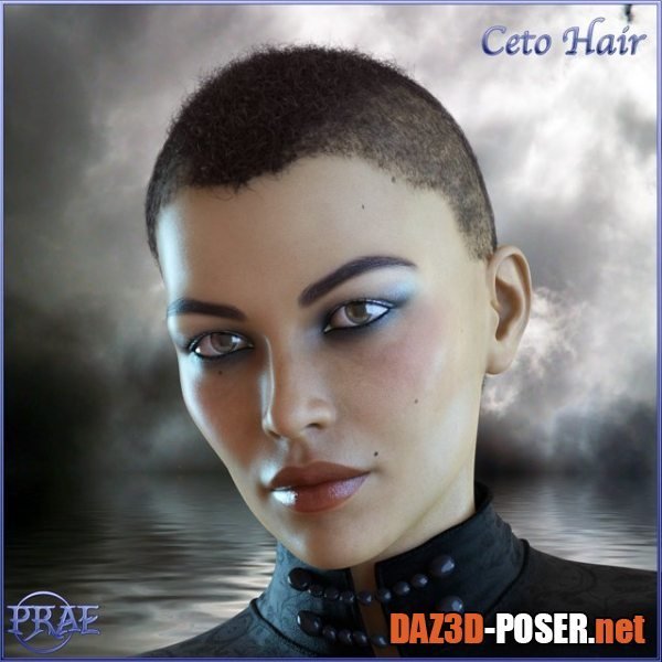 Dawnload Prae-Ceto Hair For G8 Male and Female Daz for free