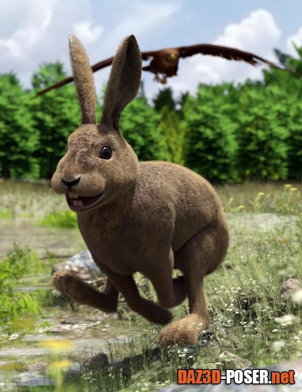 Dawnload Caesar the Hare for Daz Dog 8 for free