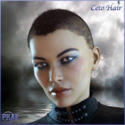 Prae-Ceto Hair For G8 Male and Female Daz
