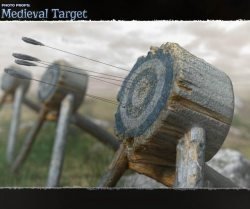 Photo Props: Medieval Target