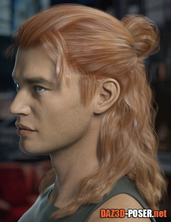 Dawnload Briggs Hair for Genesis 8 Male and Females for free