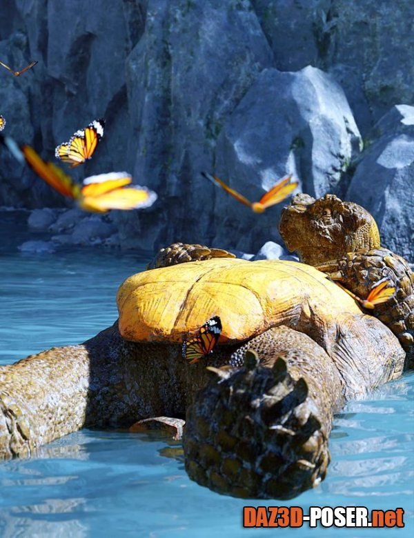 Dawnload Storybook Turtle HD for Genesis 8.1 Males for free
