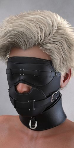 Blindfold Mask And Posture Collar