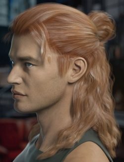 Briggs Hair for Genesis 8 Male and Females