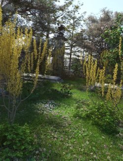 Spring Flowering Shrubs - Golden Forsythia