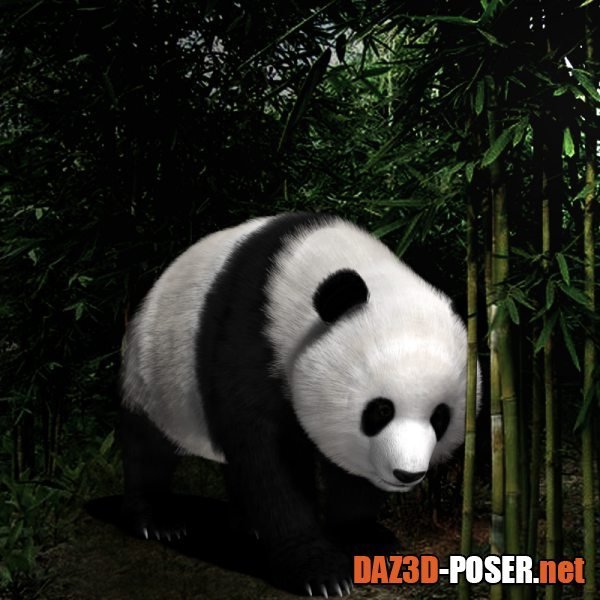 Dawnload Panda (Poser) for free