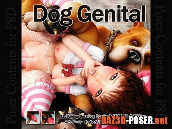 Genital for CL-Dog
