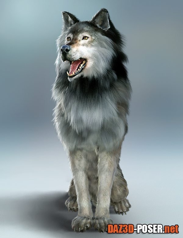 Dawnload Dire Wolf Animations for Daz Dog 8 and Genesis 8 for free
