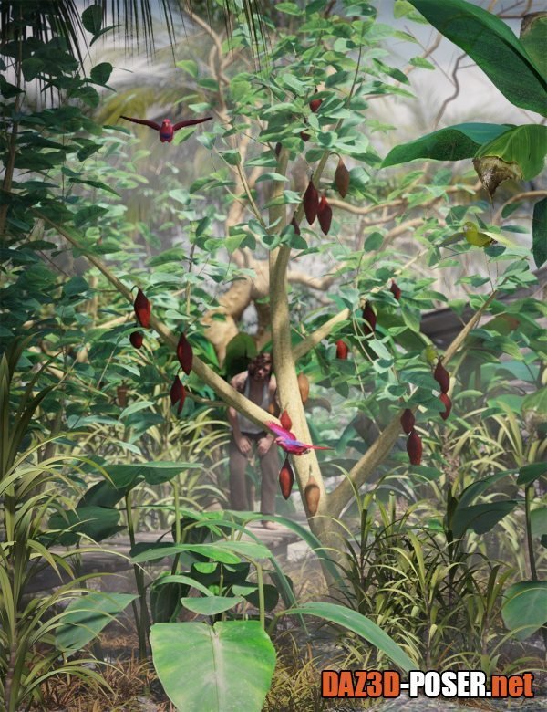 Dawnload Tropical Plants - Edible Exotics for free
