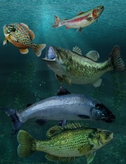 Freshwater Game Fish
