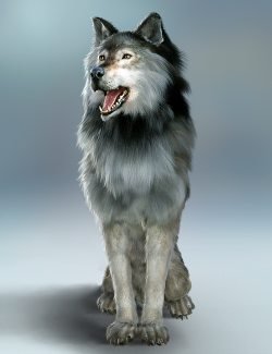 Dire Wolf Animations for Daz Dog 8 and Genesis 8