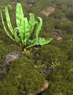 Tiny Plants vol 2 - Moss