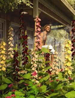 Cottage Garden Flowers - Hollyhocks