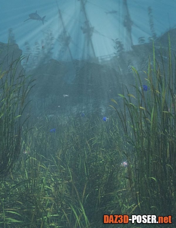 Dawnload Just Beachy - Seagrass Underwater Meadows for free