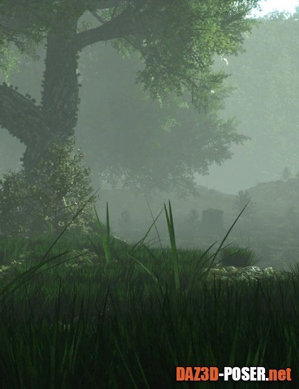 Dawnload Mysterious Forest for free
