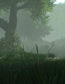 Mysterious Forest