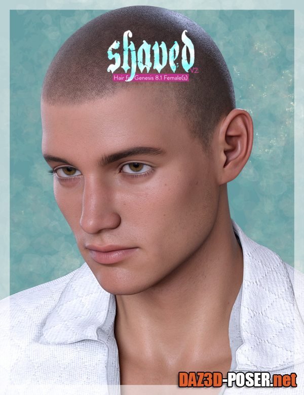 Dawnload Shaved Hair V2 for Genesis 8.1 Males for free
