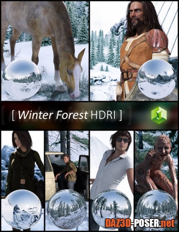 Dawnload Winter Forest HDRI for free