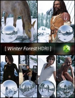 Winter Forest HDRI