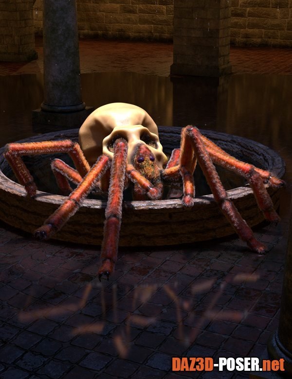 Dawnload Aracranium Oso Skull Spider for free