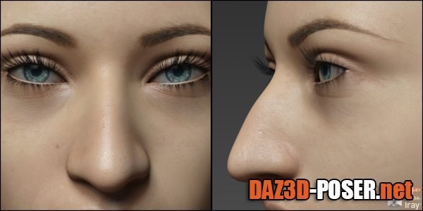 Dawnload Nose Morphs for G8F Vol 1 for free