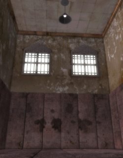 The Asylum: Padded Room