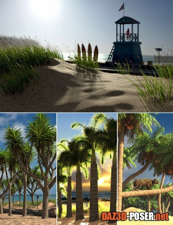 Dawnload Seaside Walkway and Palm Tree Bundle for free