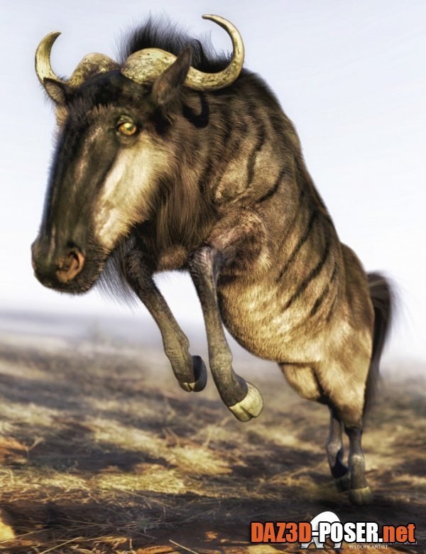 Dawnload Gnu for DAZ Horse 2 by AM for free